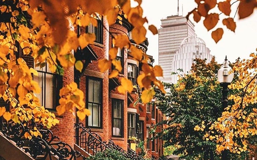 Fall Condo Cleanup