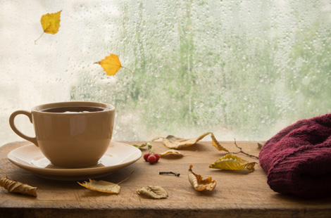 The Best Coffee Shops in Boston’s Back Bay