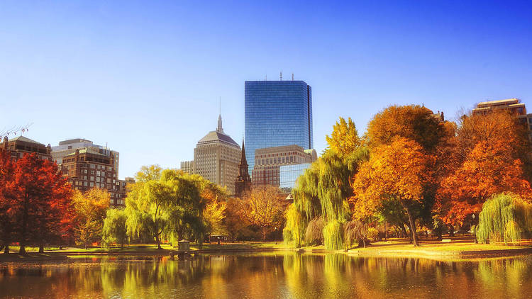 A Boston Condo Winter-Proofing Q&A