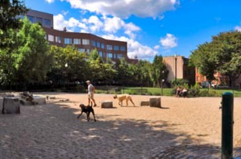 The Best Parks for your Pooch: Boston’s Best Dog Parks