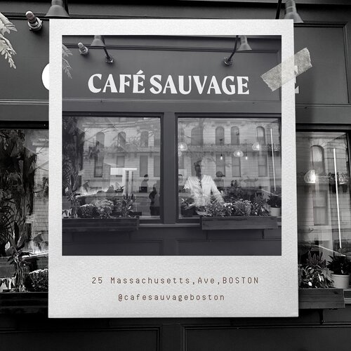 Café Sauvage Opens in Upper Back Bay