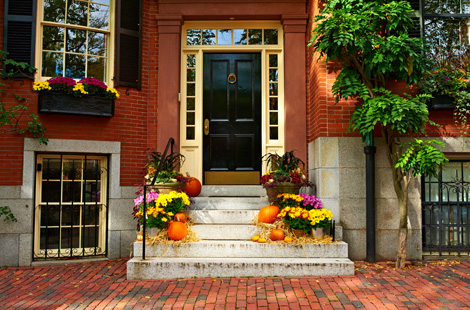 Best Places for Leaf Peeping without Leaving Boston