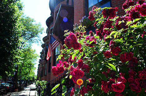 Brunch Your Way through Boston – South End