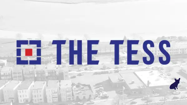 The Tess