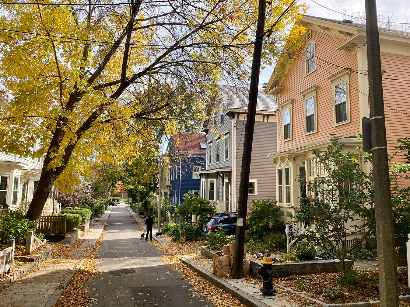 Street In Jamaica Plain 4